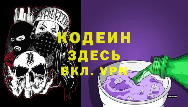 индика Алзамай