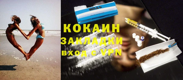 индика Алзамай