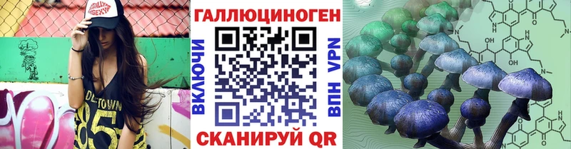 Псилоцибиновые грибы Psilocybine cubensis  Апшеронск 